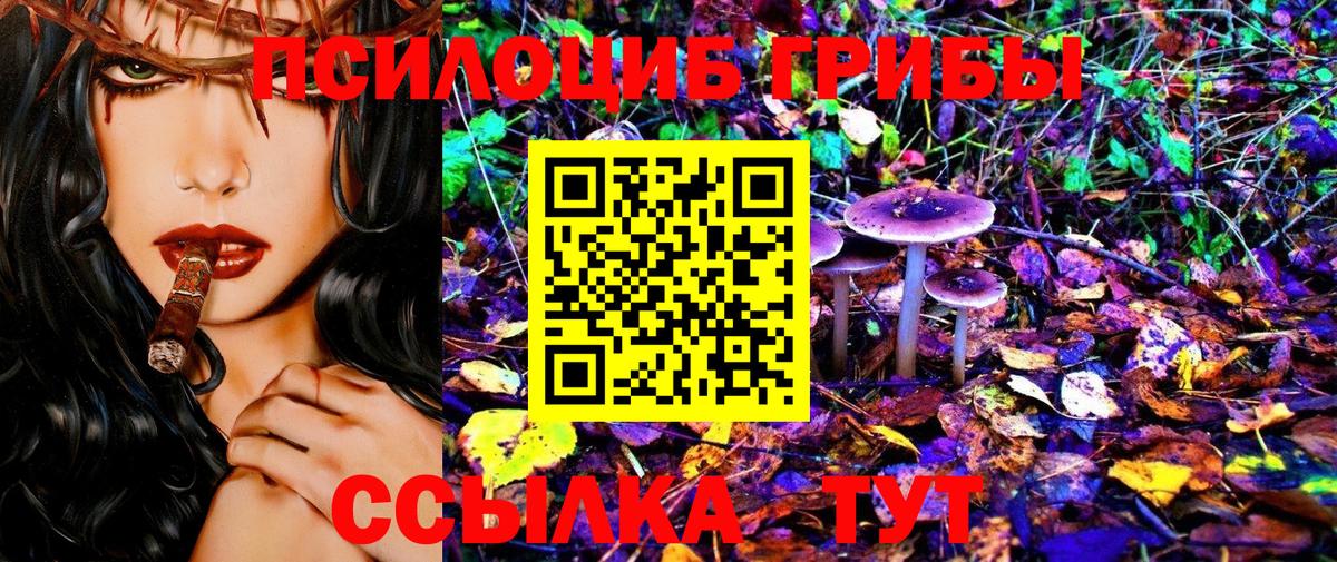 Галлюциногенные грибы Psilocybe  Псилоцибиновые грибы Psilocybine cubensis  Борисоглебск  купить наркоту  Вход с VPN 