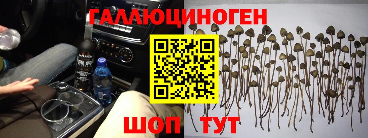Псилоцибиновые грибы Cubensis Борисоглебск